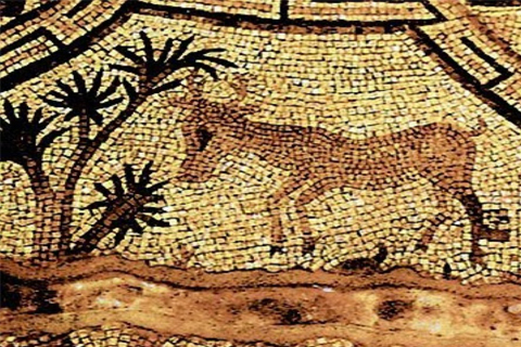 Scopri la Villa Romana